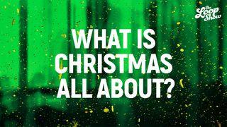 What Is Christmas All About? Matthew 2:20 New International Version