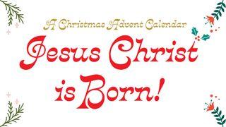 Christmas Advent Bible Reading Plan: Jesus Is Born Isaiah 49:13 New International Version