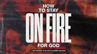 How to Stay on Fire for God Faptele Apostolilor 28:3 Biblia sau Sfânta Scriptură cu Trimiteri 1924, Dumitru Cornilescu