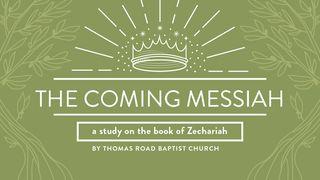 The Coming Messiah: A Study in Zechariah Zechariah 6:12-13 Amplified Bible, Classic Edition