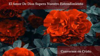 El Amor De Dios Supera Nuestro Entendimiento 1 Juan 3:1-3 Nueva Versión Internacional - Español