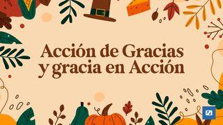 Acción De Gracias Y Gracia en Acción Salmos 100:4-5 Nueva Traducción Viviente