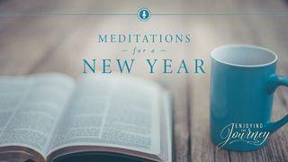 Meditations for a New Year Luke 13:8 New Living Translation