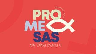 Promesas de Dios para ti Job 11:16-17 Nueva Versión Internacional - Español