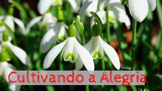 Cultivando a Alegria 1Pedro 4:10-11 Nova Versão Internacional - Português
