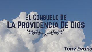 El Consuelo De La Providencia De Dios 1 Crónicas 29:12-13 Nueva Traducción Viviente