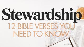 Stewardship: 12 Bible Verses You Need to Know Matthew 25:14-30 Amplified Bible