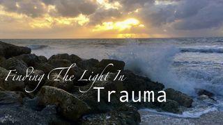 Finding the Light in Trauma Matthew 8:29 New International Version
