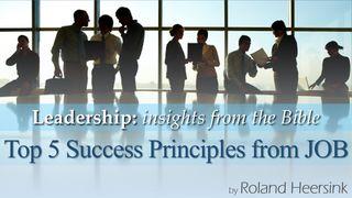 Leadership: The Top 5 Success Principles of Job Job 31:1-40 Amplified Bible