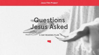 Questions Jesus Asked Jude 1:20-21 New Living Translation