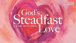 God's Steadfast Love John 3:19-21 The Message