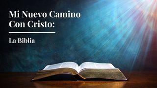 Mi Nuevo Camino Con Cristo: La Biblia Mateo 4:5-7 Nueva Versión Internacional - Español
