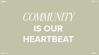 Community Is Our Heartbeat Colossians 4:6 New International Version