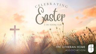 Celebrating Easter. Luke 19:30 New Living Translation