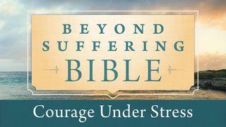 Courage Under Stress James 5:10-11 Amplified Bible