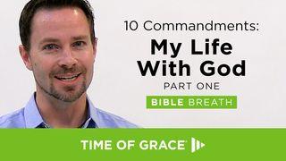 10 Commandments: My Life With God Genesis 2:17 New King James Version