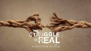 The Struggle Is Real I Peter 3:19-21 New King James Version