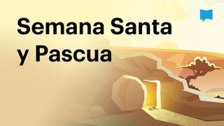 Proyecto Biblia | Semana Santa y Pascua Juan 20:20-22 Nueva Versión Internacional - Español