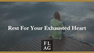 Rest for Your Exhausted Heart Romans 12:12 English Standard Version 2016