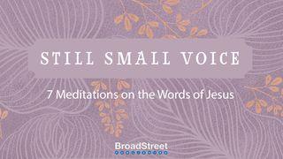 Still Small Voice: 7-Day Meditations on the Words of Jesus João 6:20 Almeida Revista e Corrigida
