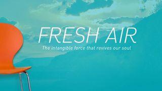 Experience 14 Days of Fresh Air II Timothy 1:16-18 New King James Version