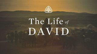 The Life of David 1 Samuel 18:10 Common English Bible