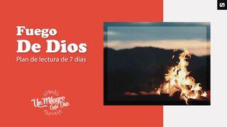 ¡Fuego De Dios! Daniel 3:25 Bible en français courant