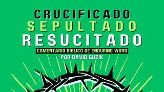 ¡Crucificado, sepultado y resucitado! Juan 20:1 Nueva Versión Internacional - Español