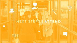 NEXT STEPS: Attend Acts 20:28 English Standard Version 2016