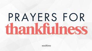 Thankfulness: Bible Verses and Prayers Colossians 3:15 New International Version