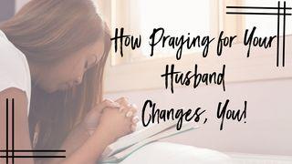 How Praying for Your Husband Changes You Jeremiah 17:9-10 Amplified Bible, Classic Edition