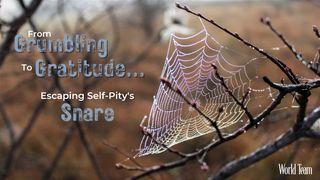 From Grumbling to Gratitude...Escaping Self-Pity's Snare Mark 10:27 New International Version