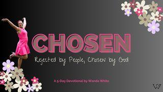 Chosen:  Rejected by People, Chosen a 5-Day Plan by Wanda White 1 Peter 1:18-19 English Standard Version 2016