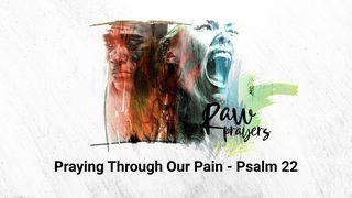 Raw Prayers: Praying Through Our Pain Salmi 22:3 Nuova Riveduta 2006