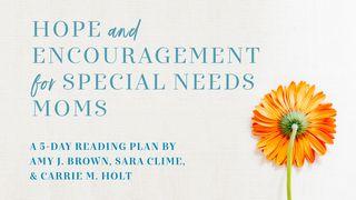 Hope and Encouragement for Special Needs Moms Job 2:11-13 King James Version