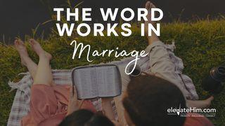 The Word Works in Marriage Genesis 41:14 English Standard Version 2016