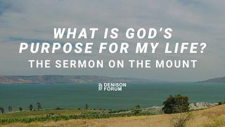What Is God’s Purpose for My Life? The Sermon on the Mount Matthew 7:6-20 King James Version