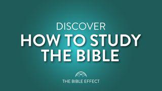 How to Study the Bible Inductively Philemon 1:8-9 New International Version