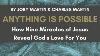 Anything Is Possible: How Nine Miracles of Jesus Reveal God's Love for You Jean 5:17 Parole de Vie 2017