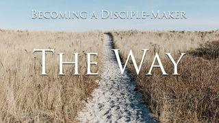 The Way Romans 3:25 New International Version