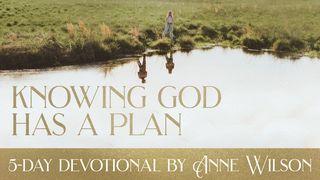 Knowing God Has A Plan: 5-Day Devotional by Anne Wilson Psalm 30:5 Amplified Bible, Classic Edition