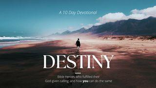 Bible Characters Who Fulfilled Their Destiny: And How You Can Do the Same Romans 4:19 New International Version