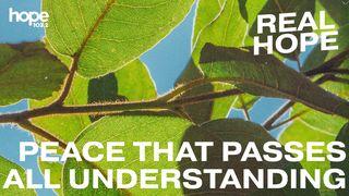 Real Hope: Peace That Passes All Understanding 2 Thessalonians 3:16 New Living Translation