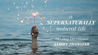 A Supernaturally Natural Life  2 Timothy 4:17 New International Version