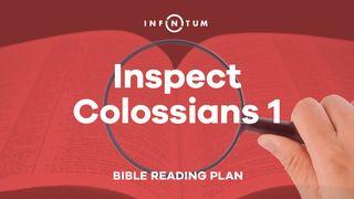 Infinitum: Inspect Colossians 1 Colossians 1:15-20 Christian Standard Bible