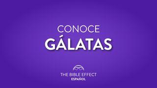 CONOCE Gálatas Gálatas 2:20 La Biblia: La Palabra de Dios para todos