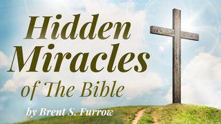 Hidden Miracles of the Bible: Secret Wisdom Within the Word Joshua 2:1-14 New International Version (Anglicised)