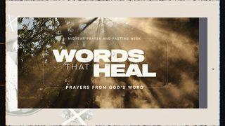 Words That Heal: Prayer's From God's Word 1 Peter 2:24 Amplified Bible, Classic Edition