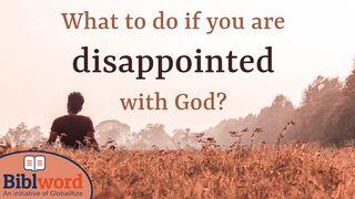 What to Do if You Are Disappointed with God? Luke 24:51-52 New Living Translation