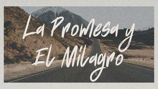 La promesa y el milagro Juan 20:1 Nueva Versión Internacional - Español